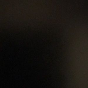 Meet your Posher, Kung fu quique